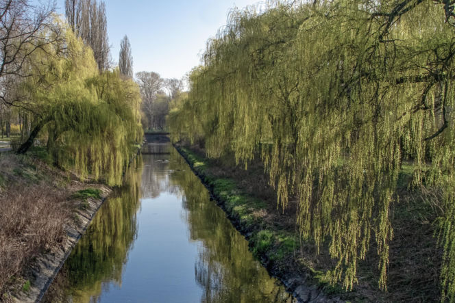 Rzeka w Śląskiem z najdłuższą nazwą