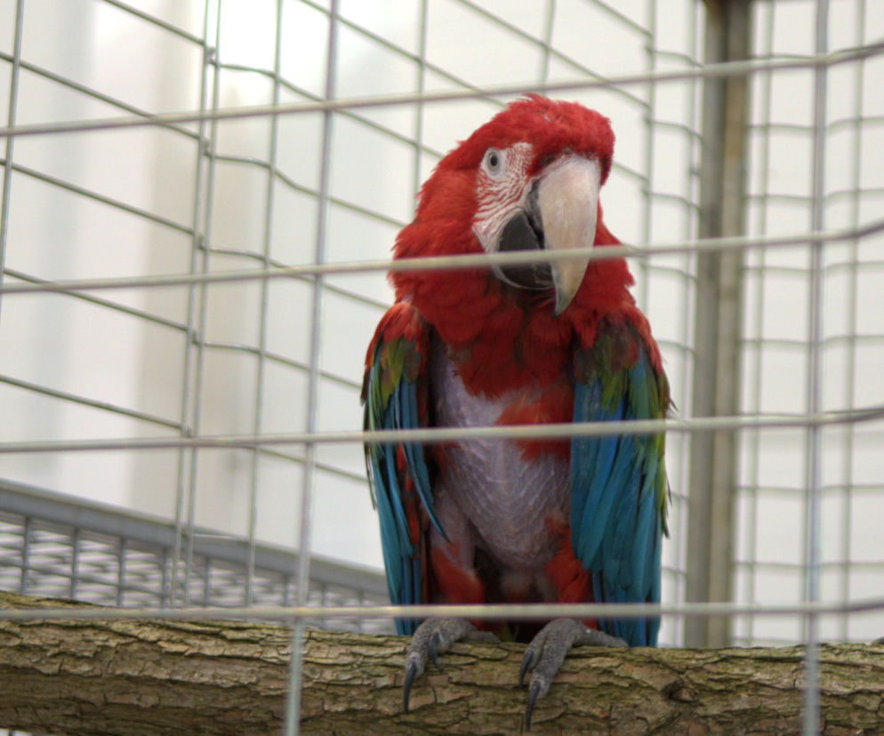 ZOOPARK 2019 w Lublinie. Wystawa pełna niezwykłości. Zobacz zdjęcia!