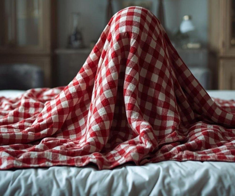 Ukrywała się pod kocem. Policjanci nie dali się przechytrzyć 