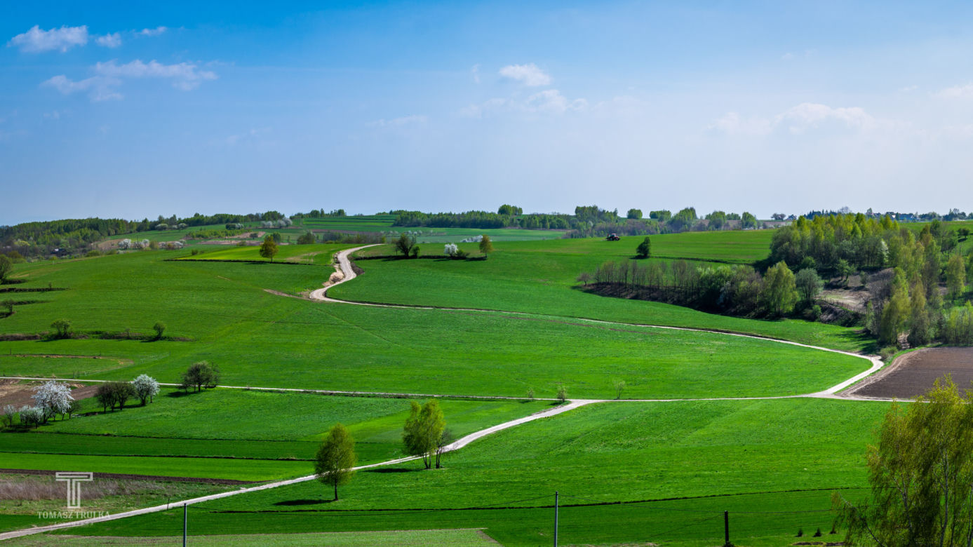 Nielepice