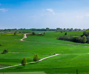 Nielepice