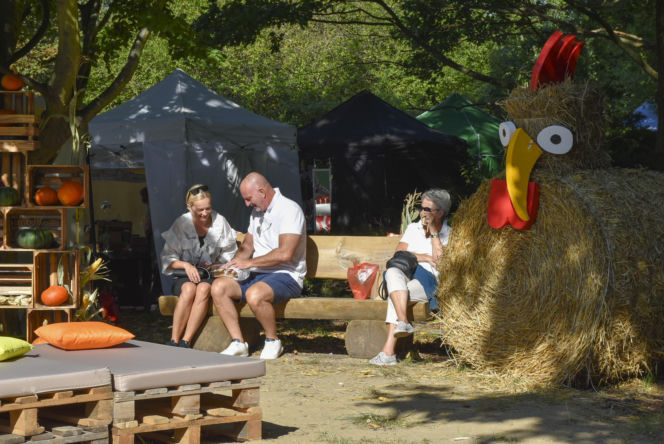 Weekend pełen smaków i tradycji! Gdynia zaprasza na 33. Dary Ziemi
