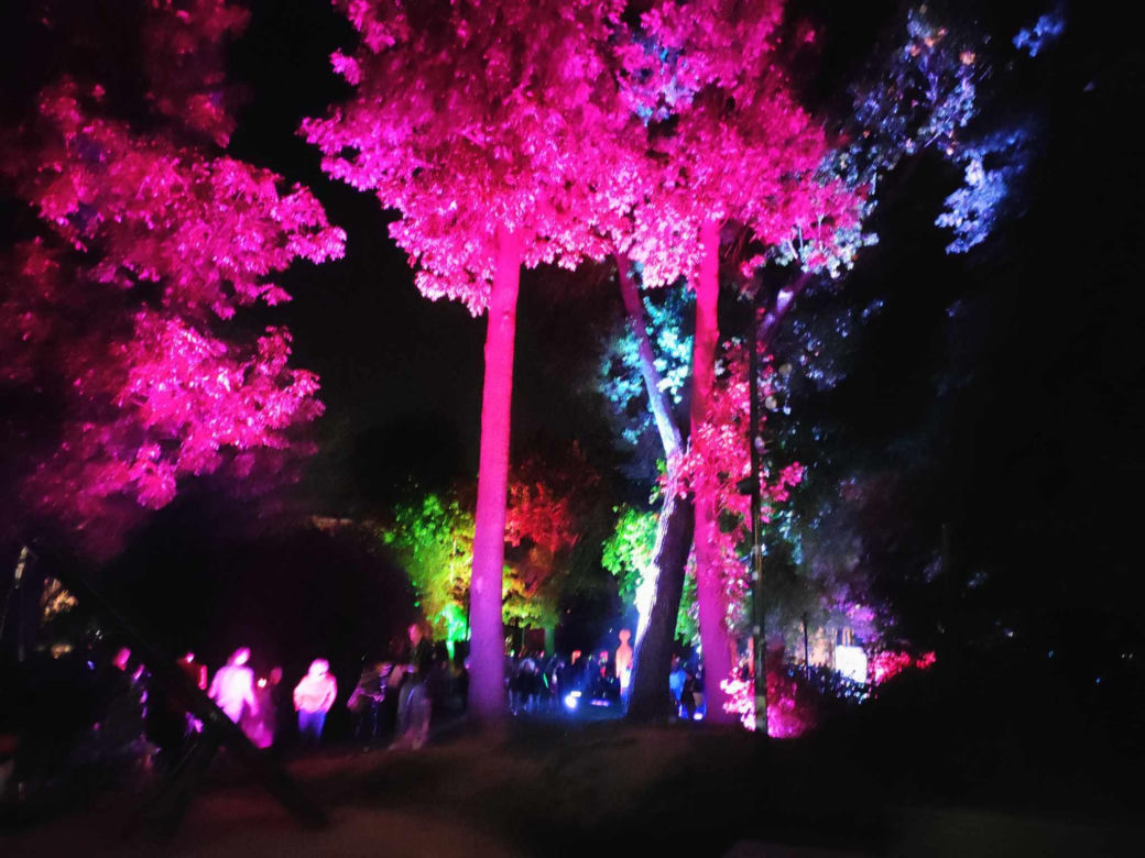 Light Move Festival 2023. Sprawdź, jak wyglądało to wyjątkowe wydarzenie [ZDJĘCIA]