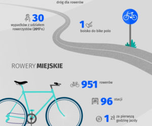 Lublin to idealne miasto dla rowerzystów? Jesteśmy na podium rankingu!
