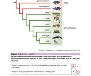 Matura próbna 2026 - biologia. Wszystkie odpowiedzi do arkusza CKE z biologii 14.01.2026