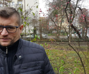 Do Bydgoszczy zbliża się wiosna. Te znaki nie zostawiają wątpliwości