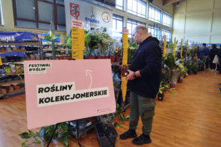 Festiwal Roślin 2026 w Siedlcach