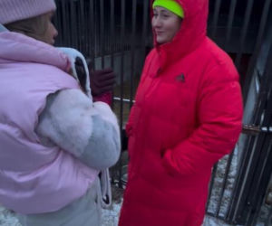 Koniec heroizmu Dody? Artystka mówi dość po dramatycznych wizytach w schroniskach