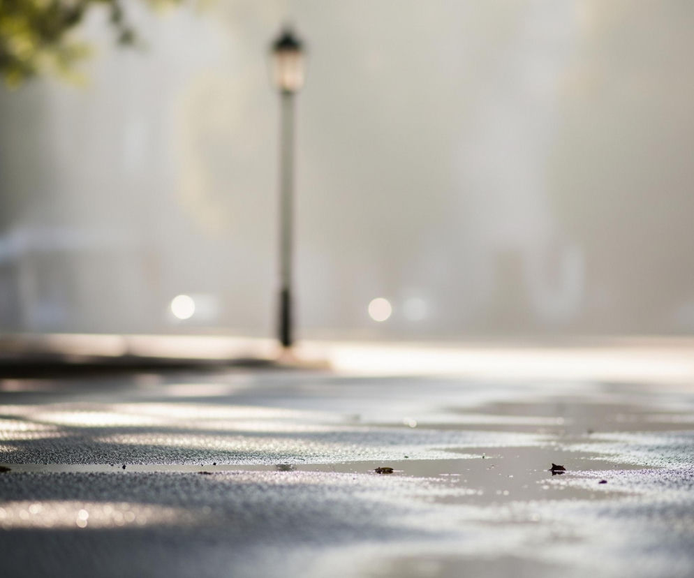 Droga pokryta jest drobnymi kroplami wody, tworzącymi lśniące plamy, a na jej powierzchni leżą pojedyncze, ciemne liście. W tle widoczna jest rozmyta sylwetka latarni ulicznej o ciepłym, żółtawym świetle, otoczona mleczną mgłą. Słońce rzuca długie, rozproszone cienie na lewą stronę drogi, podczas gdy prawa pozostaje jasna i świetlista. Całość obrazu utrzymana jest w stonowanych barwach szarości, czerni i ciepłych odcieni żółci, z rozmytym, jasnym tłem.