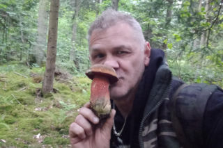 Borowik ceglastopory  pojawił się w starachowickich lasach. Można zebrać koszyczek