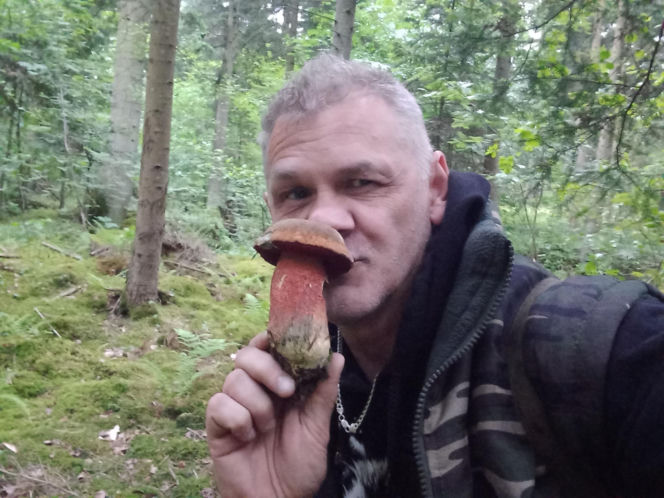 Borowik ceglastopory pojawił się w starachowickich lasach. Zaczyna się