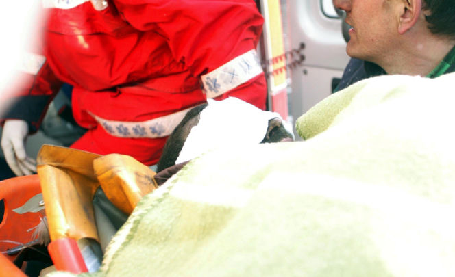 Zbigniew Nowak uratowany. Ratownicy wynoszą go z kopalni Halemba