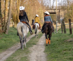 Cowgirls Silesia