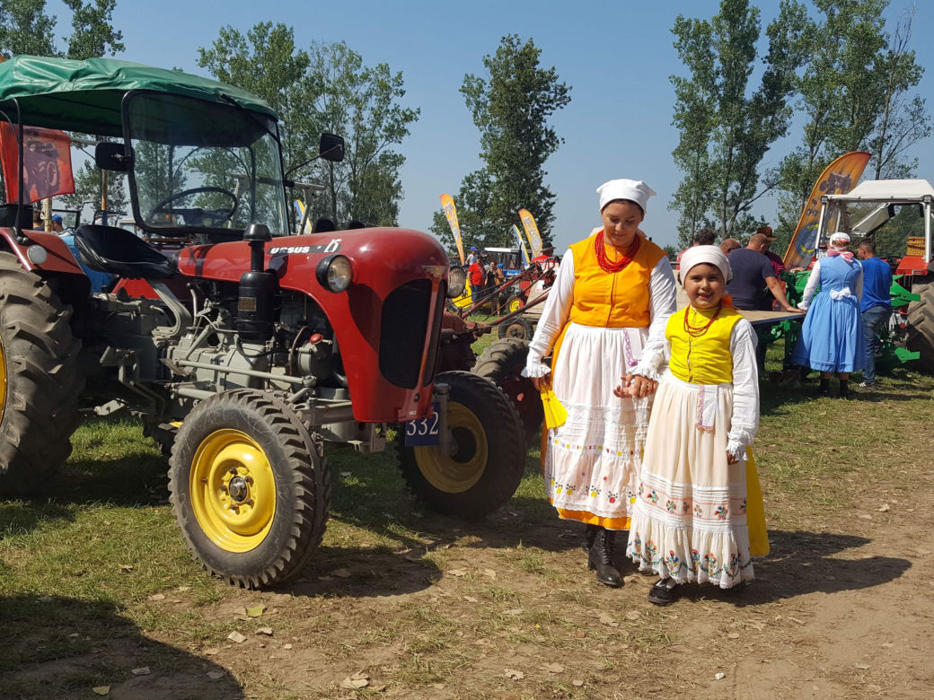Festiwal starych ciągników w Wilkowicach. Setki maszyn, tysiące widzów i upał