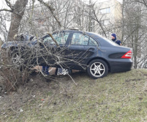 Huknął w drzewo, połamał latarnię. Pijany kierowca kompletnie rozbił mercedesa