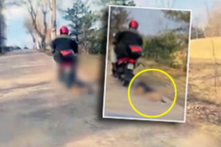 72-latek przywiązał psa do motoroweru i ciągnął po drodze. Tłumaczenie seniora szokuje