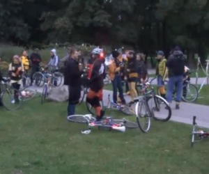 pszczoły, rowerowy taniec dzikich zapylaczy