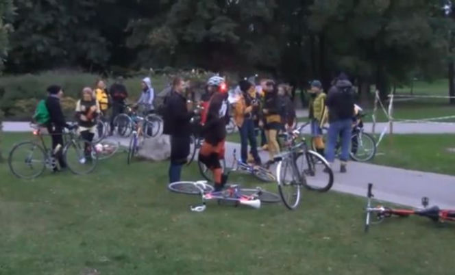 pszczoły, rowerowy taniec dzikich zapylaczy