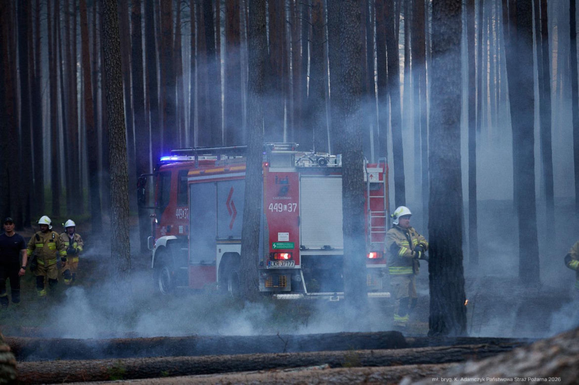 Walka z pożarem pod Biłgorajem. Szef MSWiA: „Jesteśmy umiarkowanymi optymistami”