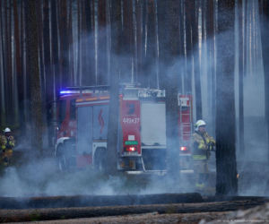 Walka z pożarem pod Biłgorajem. Szef MSWiA: „Jesteśmy umiarkowanymi optymistami”