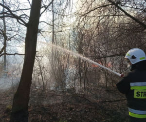 Potężny pożar na Śląsku! Strażacy kilka godzin walczyli z ogniem