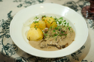 Kuchenne rewolucje. HoNoTu to teraz Bistro Sztuka Dzika.