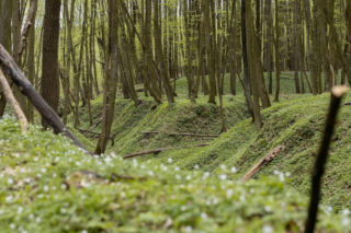 Nowe rezerwaty na terenie woj. lubelskiego