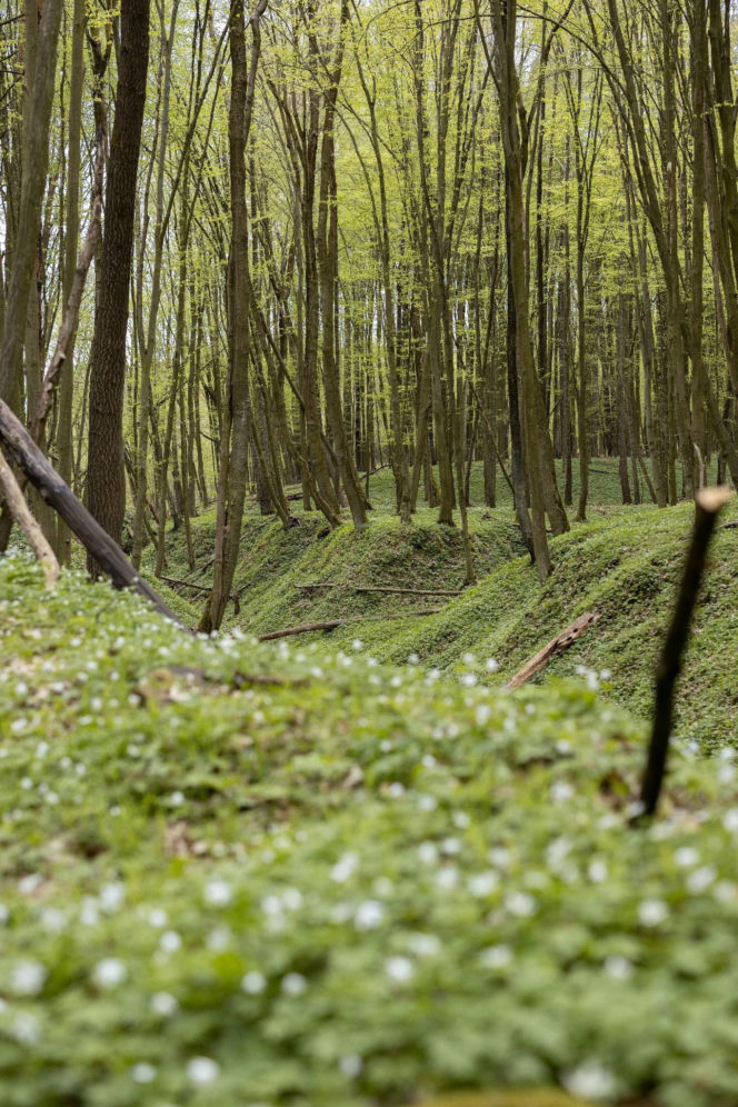 Nowe rezerwaty na terenie woj. lubelskiego