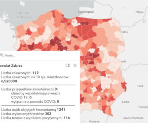 Koronawirus w województwie śląskim. Tak wygląda sytuacja w poszczególnych powiatach [RAPORT, 19 MARCA]