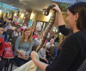 Ferie w Zoo