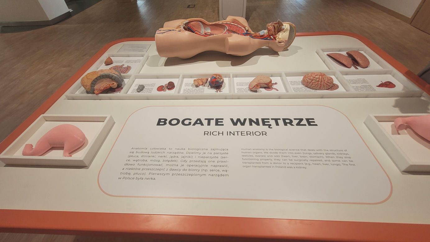 Wielkie otwarcie Centrum Nauki „Kortosfera”. „Jesteśmy dla wszystkich” [ZDJĘCIA]