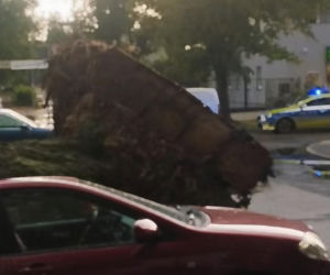 Krajobraz jak po apokalipsie! Potężna burza w Dęblinie. Drzewa miażdżyły samochody