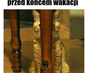 Najlepszy z okazji zakończenia wakacji i początku roku szkolnego!