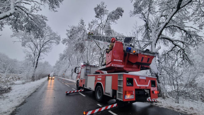 Pogodowy armagedon w Małopolsce. Drzewa łamały się jak zapałki. Setki interwencji