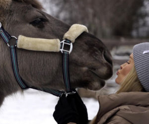 Joanna Krupa odwiedza schronisko dla zwierząt
