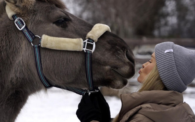 Joanna Krupa odwiedza schronisko dla zwierząt