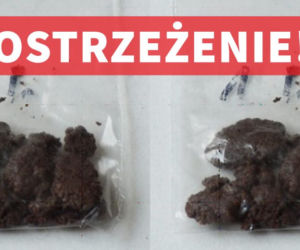 Hasan zabija w Polsce! Miej się na baczności i ostrzeż swoich bliskich [ZDJĘCIA]