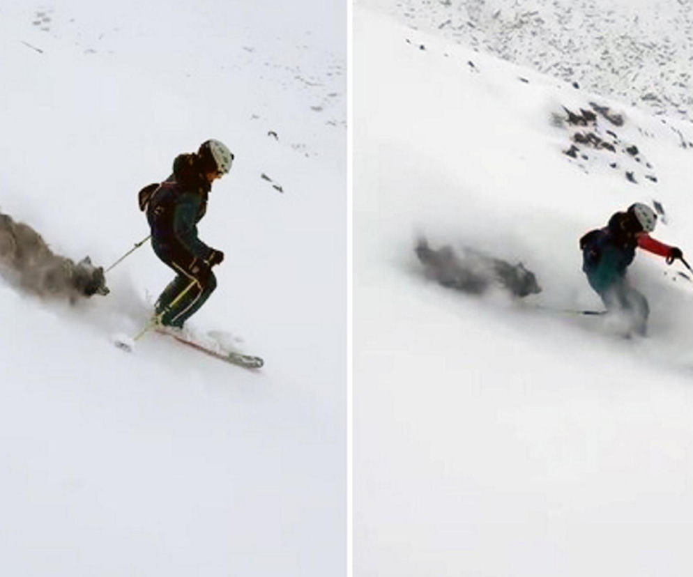 Kobieta z psem porwana przez lawinę! Wideo pokazało straszne chwile