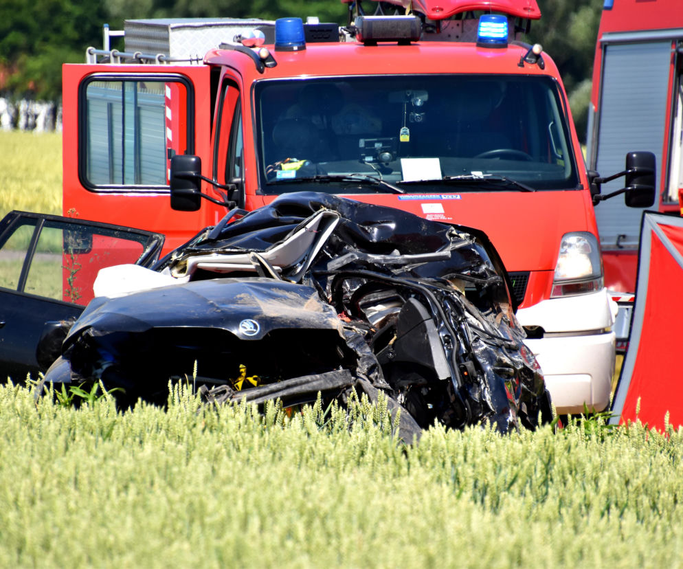 Elżbietów. Potworny wypadek pod Sochaczewem. Nie żyje pięć osób
