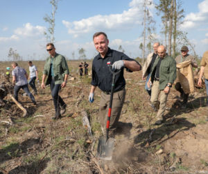 Żona prezydenta Dudy z łopatą. Tak z mężem sadziła las zniszczony przez nawałnicę