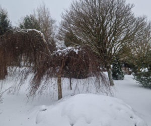 Atak zimy na wybrzeżu. Burze śnieżne, zasypane drogi i alerty IMGW