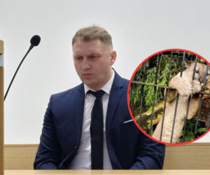 Koniec walki o pumę Nubię. Właściciel usłyszał prawomocny wyrok. Obiecuję Ci Nusiu!!