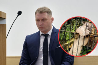 Koniec walki o pumę Nubię. Właściciel usłyszał prawomocny wyrok. Obiecuję Ci Nusiu!!