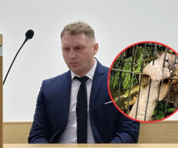 Przez lata walczył o pumę Nubię. Przegrał w sądzie 