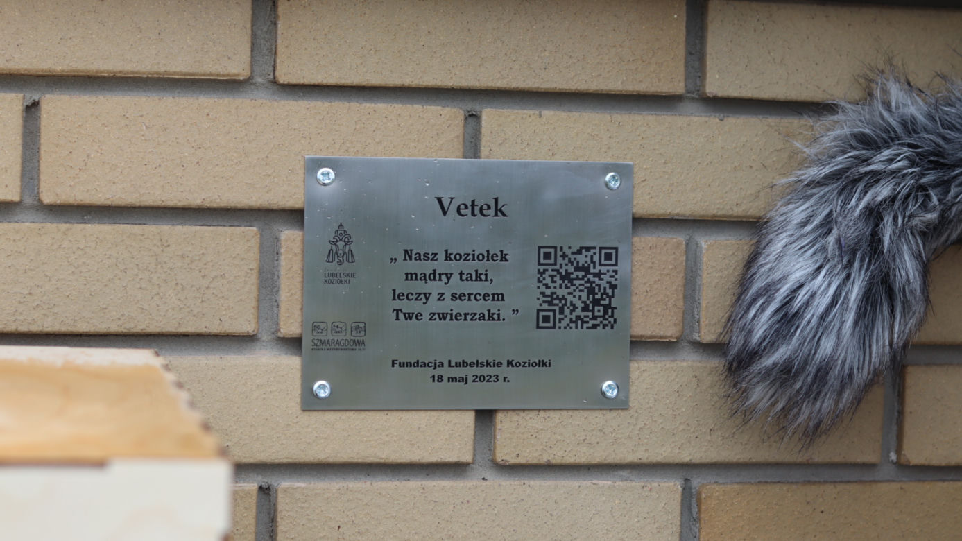 Piąty koziołek już jest! Gdzie znajdziemy Vetka?