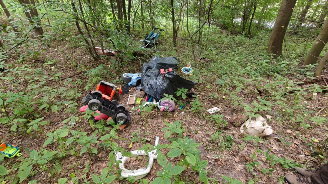 Zgroza w lesie pod Świeciem! Martwy pies w worku foliowym ze związanymi łapami. Policja szuka sprawcy bestialskiego czynu