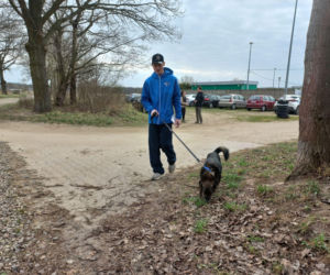 Przybyło psów w schronisku w Henrykowie koło Leszna. Ilość zatrważająca