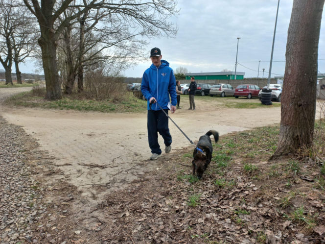 Przybyło psów w schronisku w Henrykowie koło Leszna. "Ilość zatrważająca"