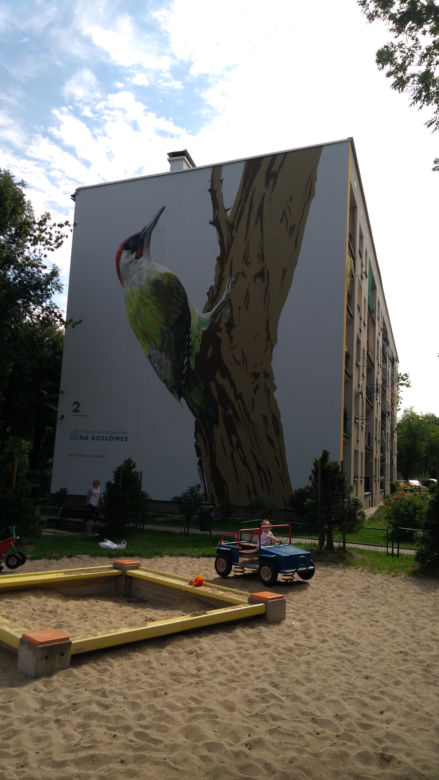 Ptasie murale na Kozłówku