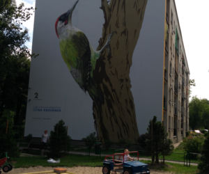 Ptasie murale na Kozłówku